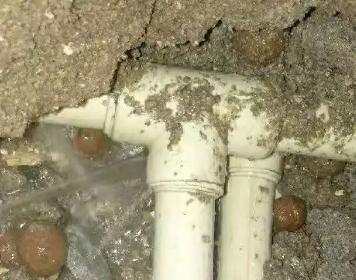 苏仙测漏水多少钱