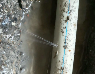 苏仙测漏水哪家好