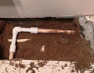 苏仙测漏水哪家好