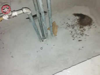 苏仙卫生间测漏水价格明细