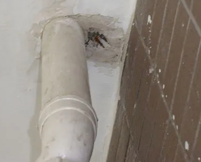 苏仙漏水检测哪家好